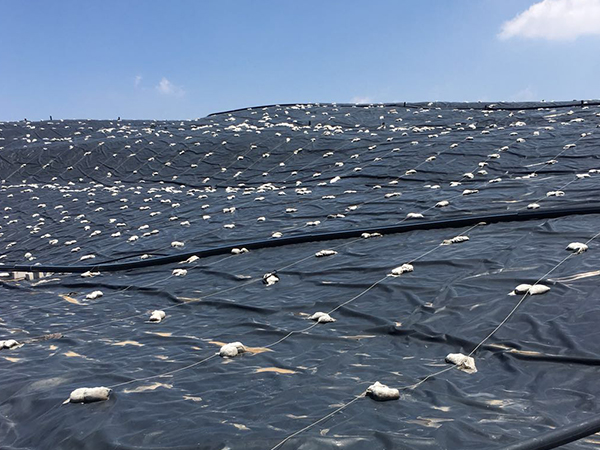 非常規(guī)溫度下的防滲土工膜該如何鋪設？