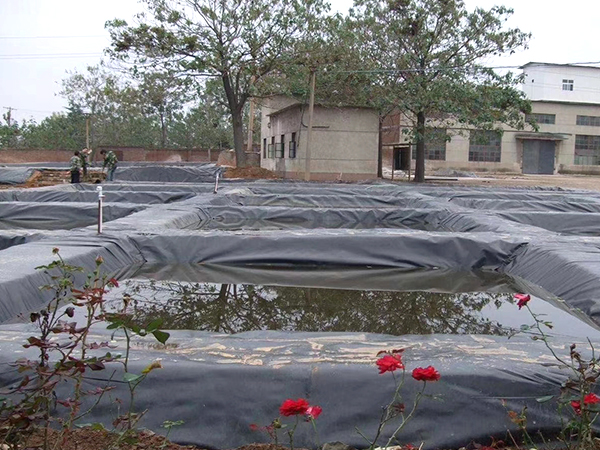 防滲土工膜在水產(chǎn)養(yǎng)殖行業(yè)發(fā)揮良好特性。