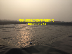 魚塘護(hù)坡選擇HDPE土工膜