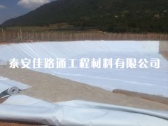 HDPE復(fù)合土工膜購(gòu)買過程需要注意哪些細(xì)節(jié)要點(diǎn)？