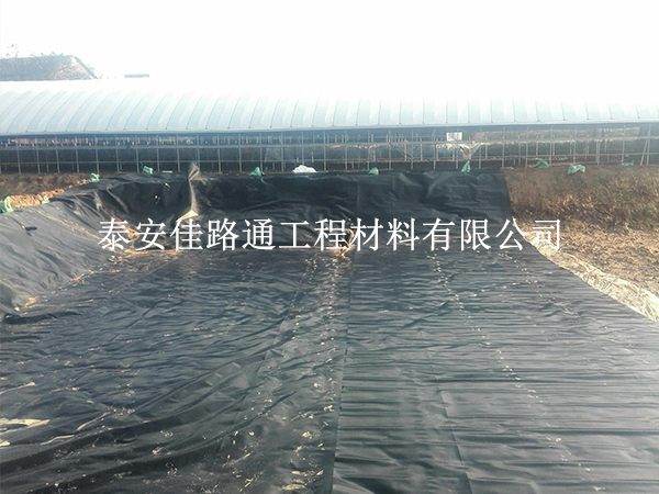 購買防滲土工膜：五大注意事項，輕松選購新體驗