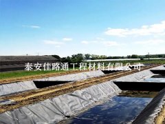 魚塘防滲土工膜：魚兒成長的雙刃劍？