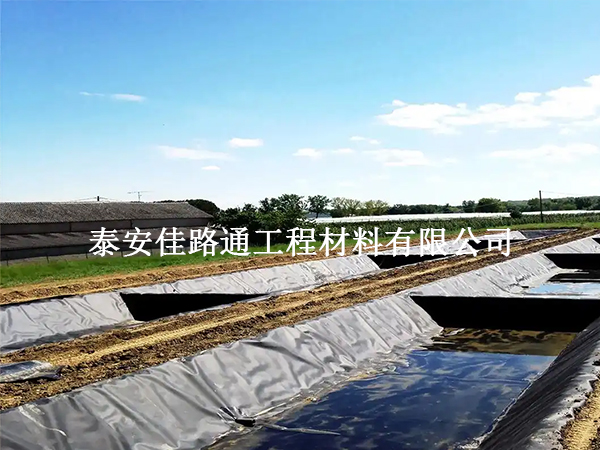 魚塘防滲土工膜：魚兒成長的雙刃劍？