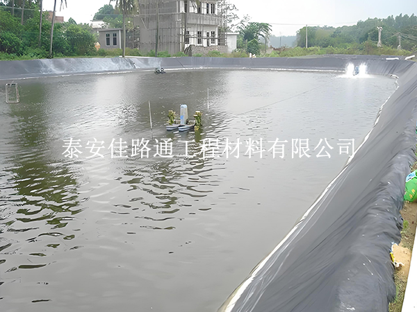 魚蝦養(yǎng)殖防滲膜選黑還是白？掌握這些原則不選