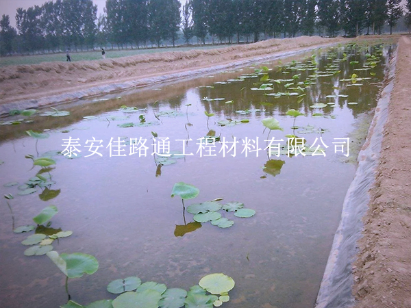 養(yǎng)殖防滲膜施工別大意，這些控制要點(diǎn)要抓實(shí)