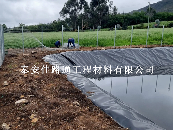 養(yǎng)殖防滲膜在養(yǎng)豬場(chǎng)污水處理中的核心作用：防滲護(hù)境，助力養(yǎng)殖合規(guī)